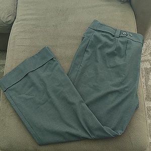 Dress Pants from Lane Bryant sz 20